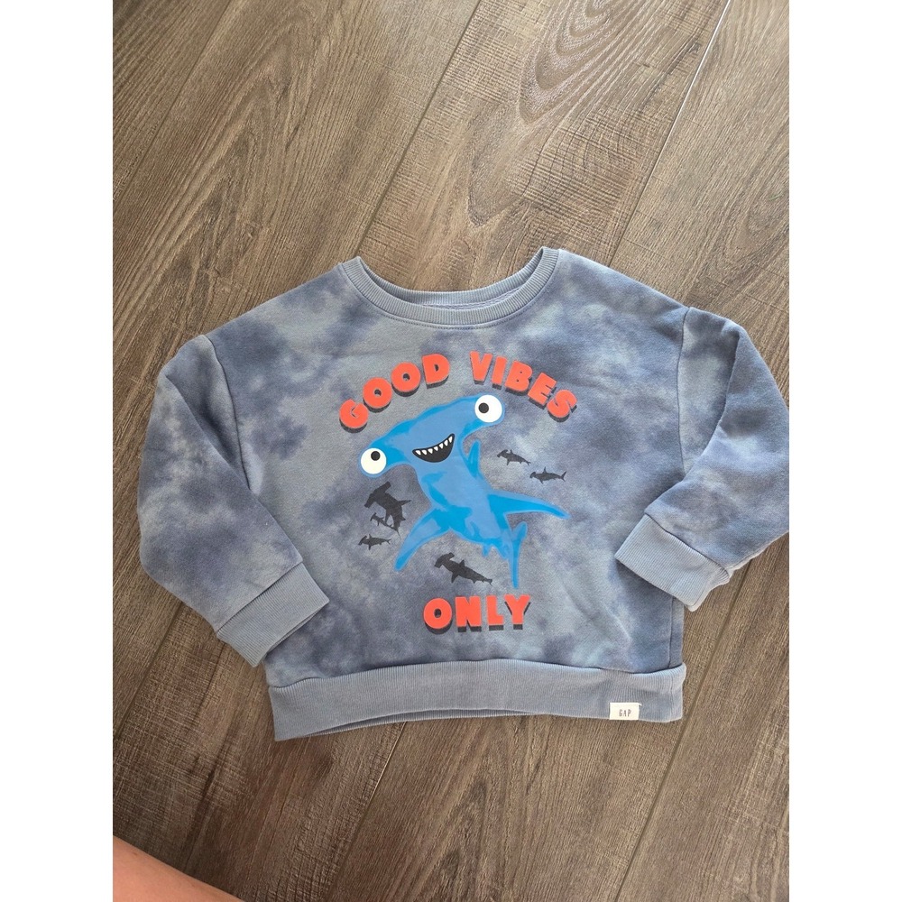 Baby gap toddler boy sweatshirt 2t